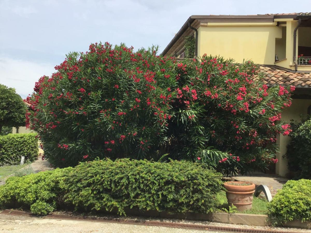 Residence Baia Vallugola Castel di Mezzo 外观 照片
